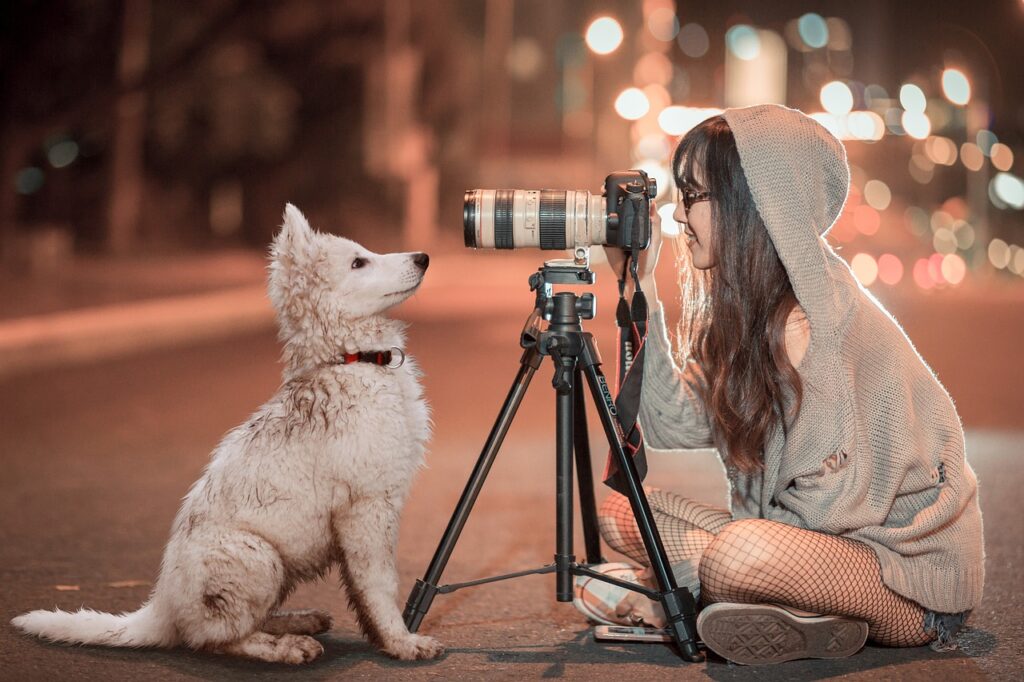 puppy, dog, pet, night, schäfer dog, baby, photogenic, animal, attention, fond of animals, friendship, friends, camera, tripod, photographer, shoot, woman, cute, photo shoot, fotobomb, in the free, animal portrait, dog look, sweet, brown dog, brown animals, brown camera, brown portrait, brown night, brown puppy, brown pets, brown friendship